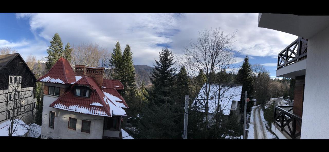 Casa Larisa - Wolves Apartment Sinaia Eksteriør bilde