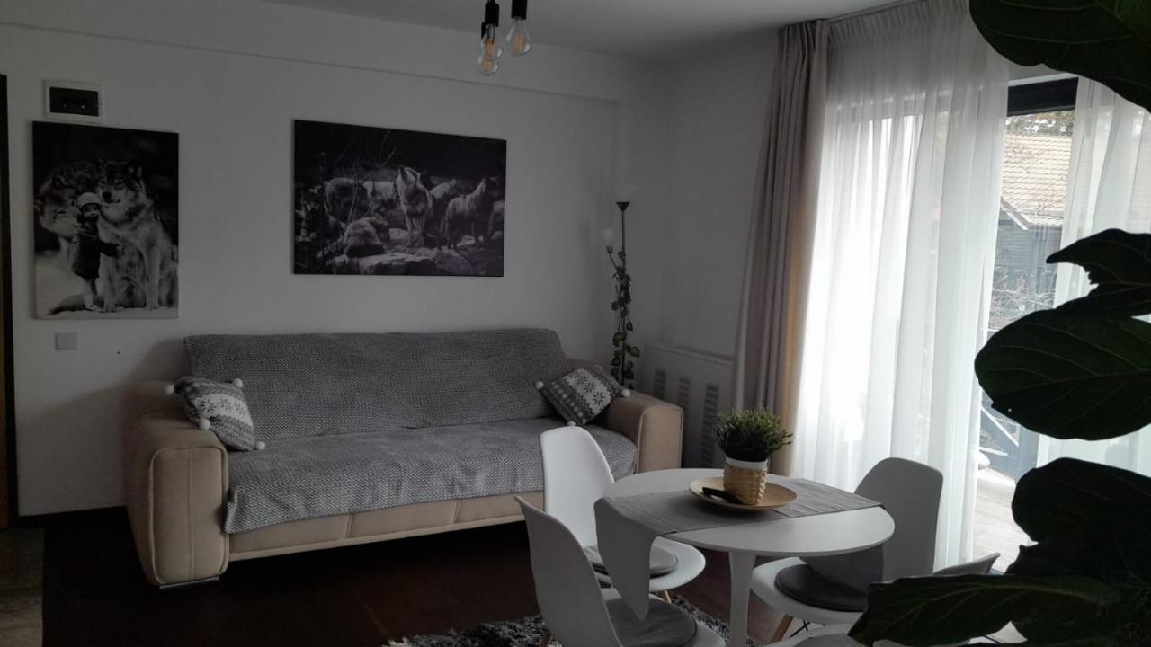 Casa Larisa - Wolves Apartment Sinaia Eksteriør bilde